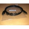 BizLink Display Port Cable for PC