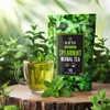 BLUE TEA - Spearmint Tea - 10 Count - Plant