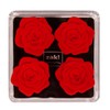 Zak! Designs 4 Piece Pan Coaster ROSE SHAPED Hot Resistant