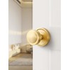 SORWDUERM 2 Pack Gold Door Knob Passage Door Knobs Brushed