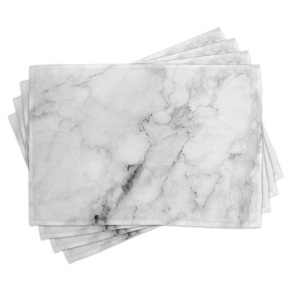 Ambesonne Marble Print Place Mats Set of 4, Stone Surface
