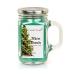 Nice Bush - Christmas Tree Scent - 10 Ounce Mason