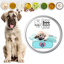 The Blissful Dog Anatolian Shepherd Boo Boo Butter, 1 Ounce