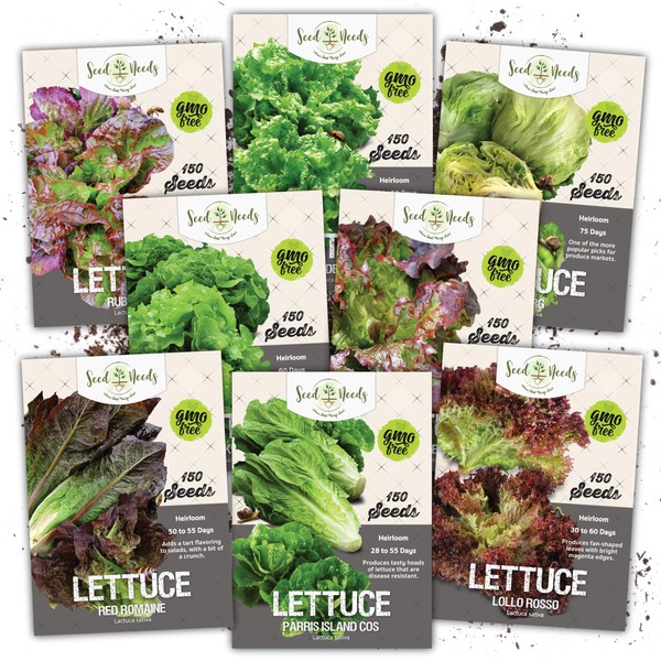 Seed Needs, Lettuce Lovers Seed Packet Collection (8 Varieties of Heirloom Lettuce Seeds for Planting) Non-GMO & Untreated - Great for Hydroponics (Lettuce Lovers (8 Packets))