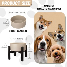 Raised Ceramic Dog Bowl - Elevated Food Water Dish with Stainless Steel Stand - for Small to Medium Dogs - 6 Inch - 2 Cups (28.75 fl oz) - Grey