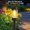 Eyrosa Solar Lights Outdoor, 12 Pack Waterproof Solar Landscape Lighting