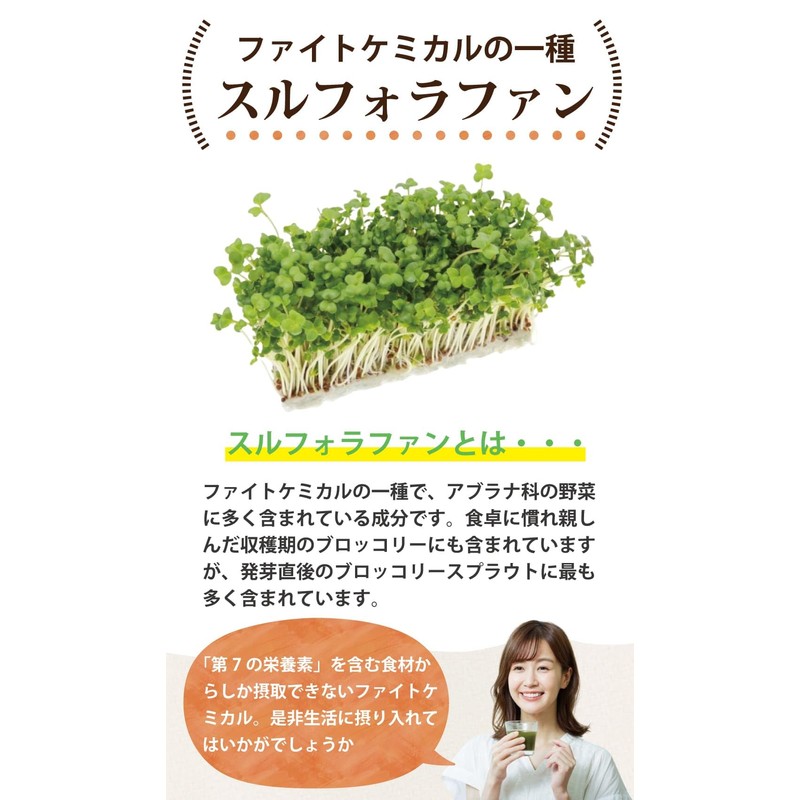 Health & Wild Grass Tea Center, Broccoli Sprout (Made in