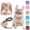 BEAUTYZOO Small Dog Harness and Leash Set,Step in No Choke