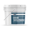 Earthborn Elements Sodium Tripolyphosphate, 1 Gallon Bucket, Cleaning Agent, Water