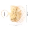 DRESHOW Fascinators Hat Mesh Veil Feathers Hat with a Headband