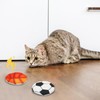 Andiker Catnip Toys for Cat, 3 Pcs Cat Chew Toy