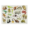 Cloudberries Animals Puzzle, 100 Piece Puzzles for Kids, Modern 100