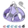 Petank Dog Harness for Small Medium Dogs No Pull, Puppy