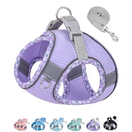 Petank Dog Harness for Small Medium Dogs No Pull, Puppy Harness and Leash Set, Step in Dog Harness for Walking, Running, Training, Small Dog Vest, Medium Dog Vest (Purple, XXS)