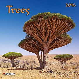 Trees 2023 Calendar 2023