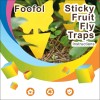 Mosqueda 36 Pack Yellow Sticky Bug Traps – Fruit Fly