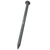 BRAUNY BOY – 3.25” -12d Hot Dipped Galvanized Common Nail