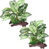 BEGONDIS 2Pcs Reptile Artificial Plants, Terrarium Plants Decorations Supplies, Aquarium