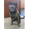 Strong Metal Wire Basket Dog Muzzle for American Bully (BA,
