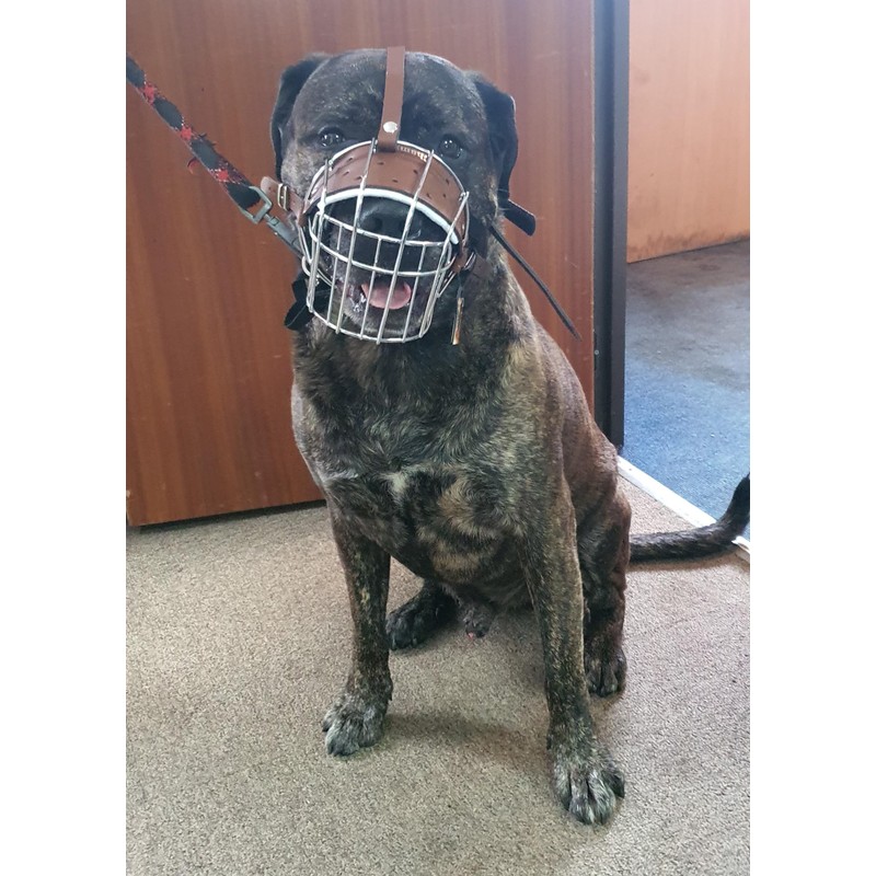 Strong Metal Wire Basket Dog Muzzle for American Bully (BA,