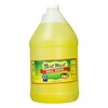 Best Maid Dill Juice 1 Gal (128 Fl Oz (Pack