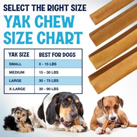 FETCHERONI Himalayan Yak Cheese Chews - Natural Dog Bones - Yak Cheese Himalayan Dog Chews – Long Lasting Himalayan Dog Cheese Chew - Yak Chews for Large, Medium and Small Dogs (Large, 3 Pack)