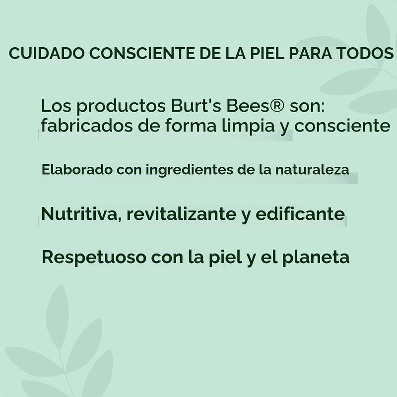 Burt's Bees Brillo Labial Lip Shine Whisper – Color Ligero