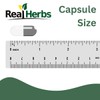 Stinging Nettle Root 101 Pure Extract 750mg (Equivalent to 7500mg