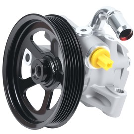 Autodevil 20-2403 Power Steering Pump Fit for 2008-2017 Enclave 3.6L, 2009-2017 Traverse 3.6L, 2007-2017 Acadia 3.6L, 2007-2010 Outlook 3.6L, Power Assist Pump with Pulley Replacement for 21-2403