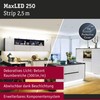 Paulmann 79879 LED Strip MaxLED 250 2.5 m Tunable White