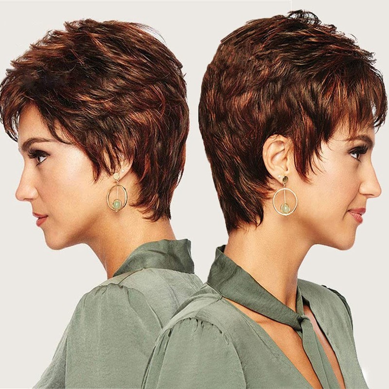YXSHZ Brown Short Hair Wigs for Women Fluffy Curly Wigs