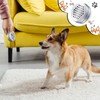 Oudain 12 Pack Dog Scent Work Tins, Dog Scent Training