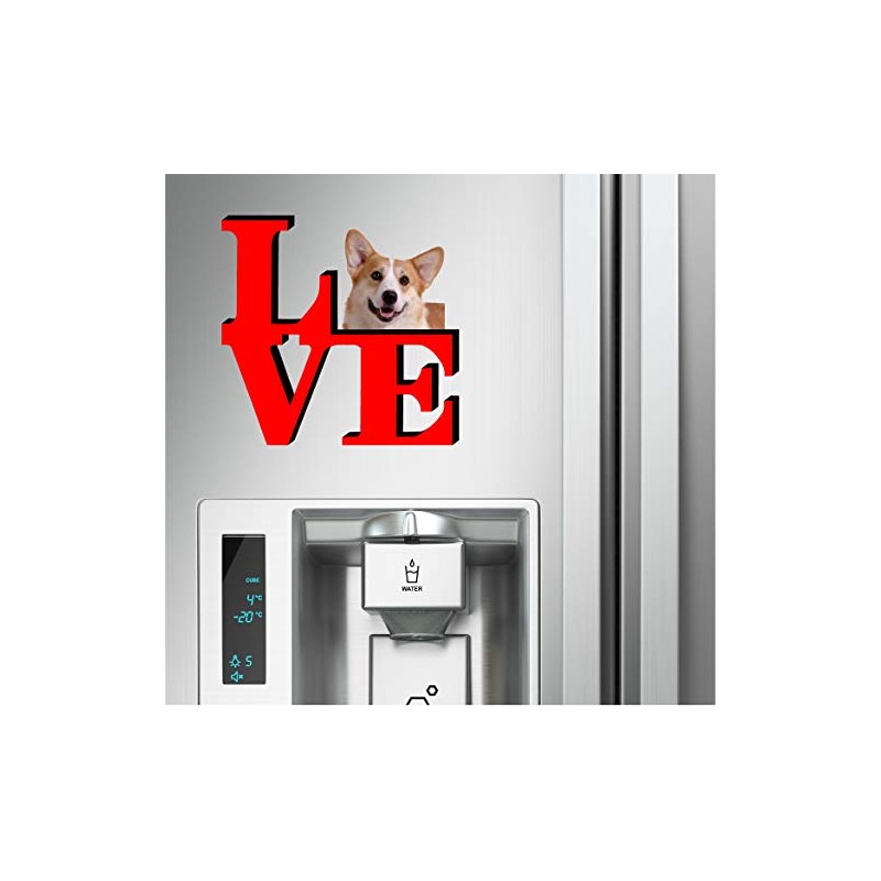 Pembroke Welsh Corgi Dog Love Park Cute Dog Fridge Refrigerator