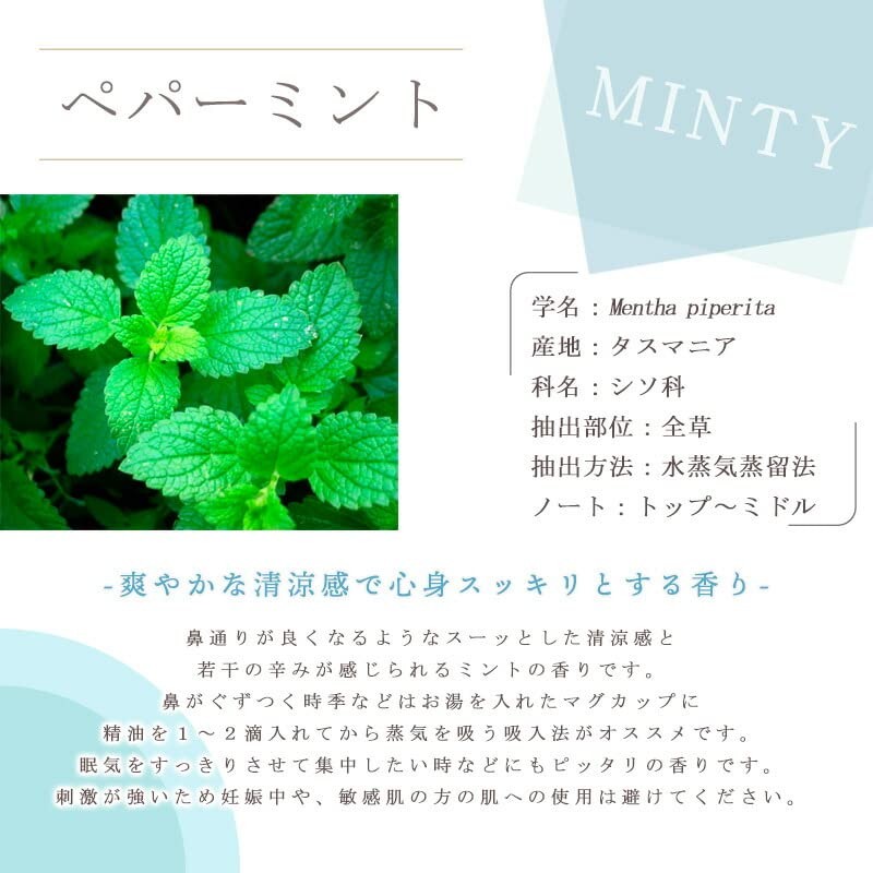 Peppermint 5ml e-aroma Essential Oil Essential Oil Aroma Oil (5ml)