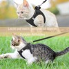 Cat Lead, Cat Harness with Lead, Escape Proof, Cat Strap,