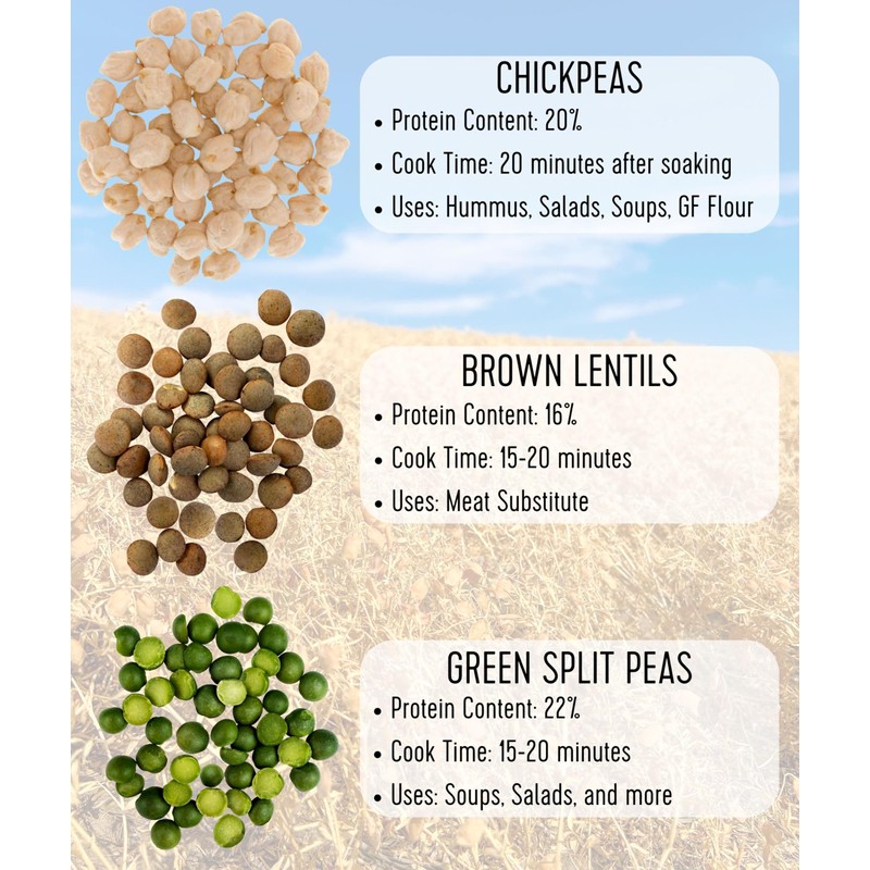 Palouse Brand Certified Glyphosate Residue Free Chickpeas | Garbanzo Beans