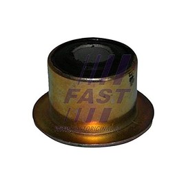 Fast FT18147 - Lagerbuchse, Blattfeder