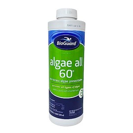 BioGuard Algae All 60-1 Quart, Non-Foaming Algae Preventative, Non-Staining & Non-Foaming, Ideal for Swimming Pools with Attached Spas or Fountains