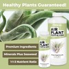 TPS NUTRIENTS Air Plant Fertilizer for All Tillandsia Air Plants,