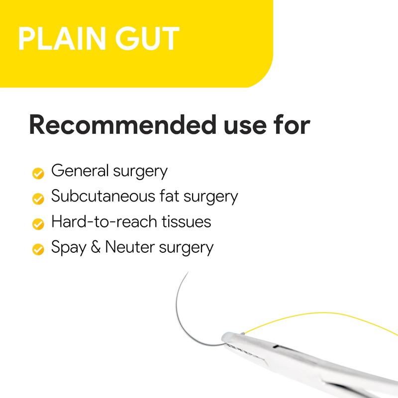 Veterinary Sutures - VeterSut Plain Gut Absorbable Surgical Suture USP