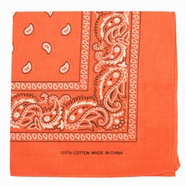 Glory Max 12Pcs Bandanas 100% Cotton Double Sided Paisley Print Head Wrap Scarf Wristband Headband (Orange)