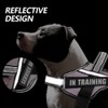 Dog Vest Harness and Patches Set, Animire in Training Service