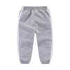 Mud Kingdom Little Boys Tracksuit for Boy Zip up Jogger