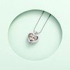 VCCWYQK Heart Urn Necklaces for Ashes for Women Cremation Jewellery