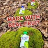 Buddy Fruits Snacks To Go Orchard Blend Unsweetened Applesauce 3.2oz