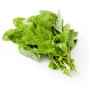 Mai's Family Green Amaranth - White Leaf seeds, Open pollinated,
