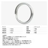 prendre PR-Q2-12-10ST Double Ring, Key Ring, Set of 10, Stainless