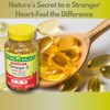 Omega 3 1000mg- Fish Oil 60 softgels (Pack of 1)