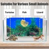 XCNO Aquarium Background Poster Fish Tank Wallpaper, Double-Sided, 16"x 33"