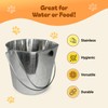 Advance Pet Products 2 Quart Heavy Duty Stainless Steel Flat